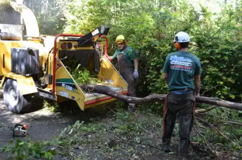 tree services Milpitas